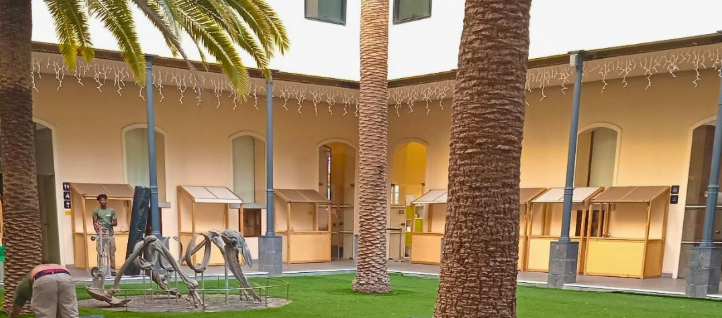 Aceviños Jardinería instaló césped artificial en el MUNA para la semana de la moda en Tenerife