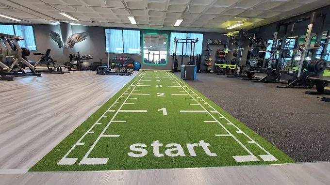 Zona de césped en gimnasio