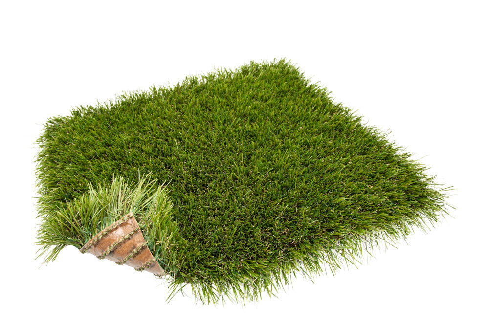 turfgrass-wildflower