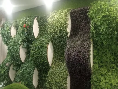 pared con diferentes tipos de césped artificial