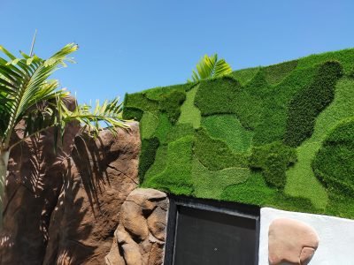 Pared césped artificial